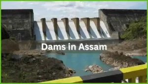 Dams in Assam